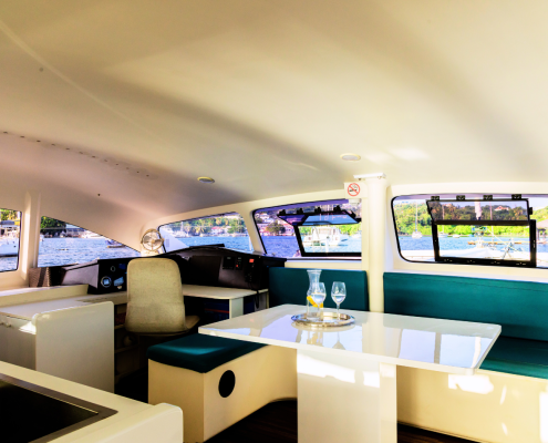 Aonyx Saloon 2