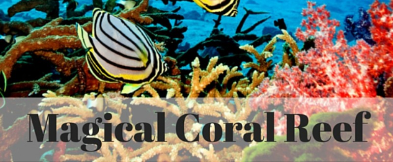 Coral Reefs by Maris Wicks Coral Reefs by Maris Wicks