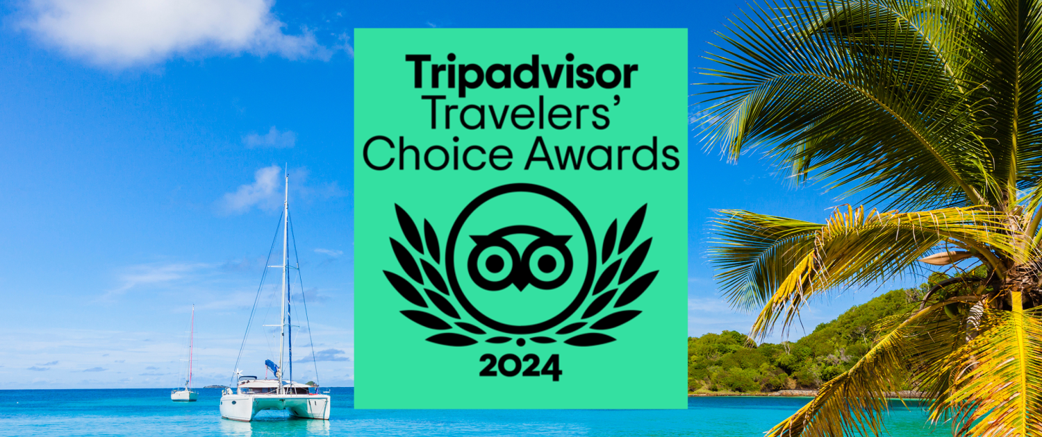 Blog Banner for Website Content