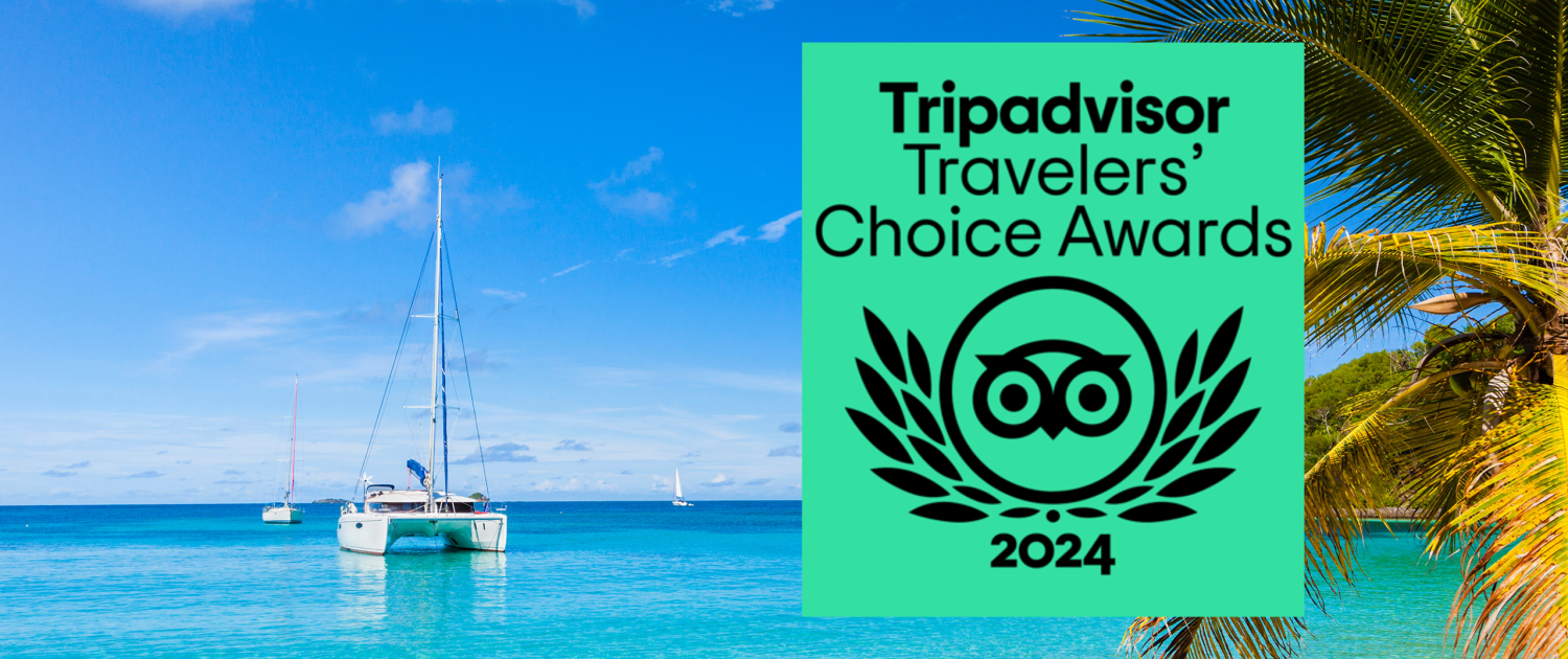 Blog Banner for Website Content-2