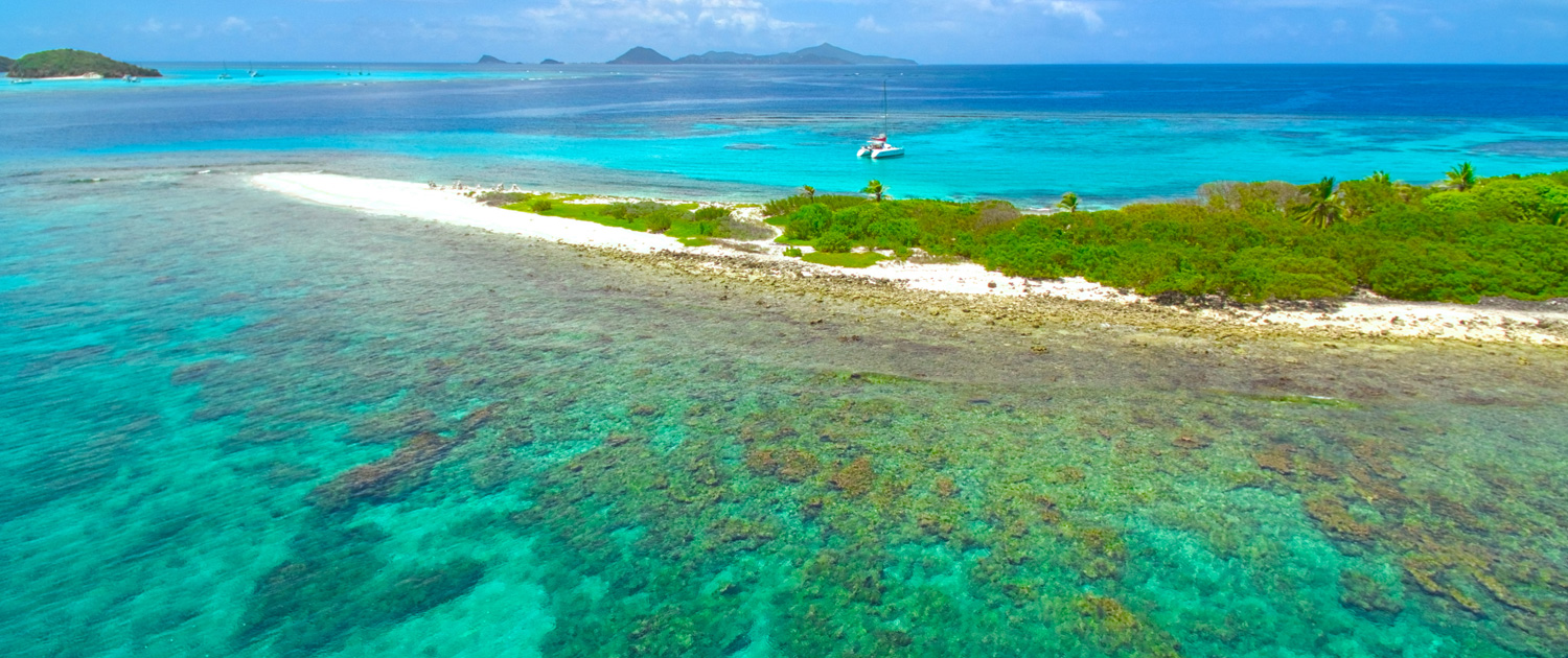 endless-summer-tabac