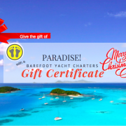 imageedit_11_9231958720